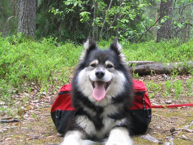 Koskikierros 049.jpg